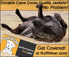 RuffWear Performance Dog Gear: Cane Corso Jackets and Coats!